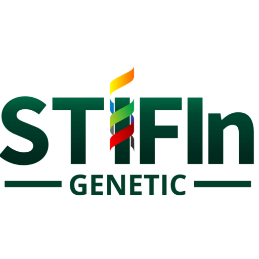 tes stifin garut