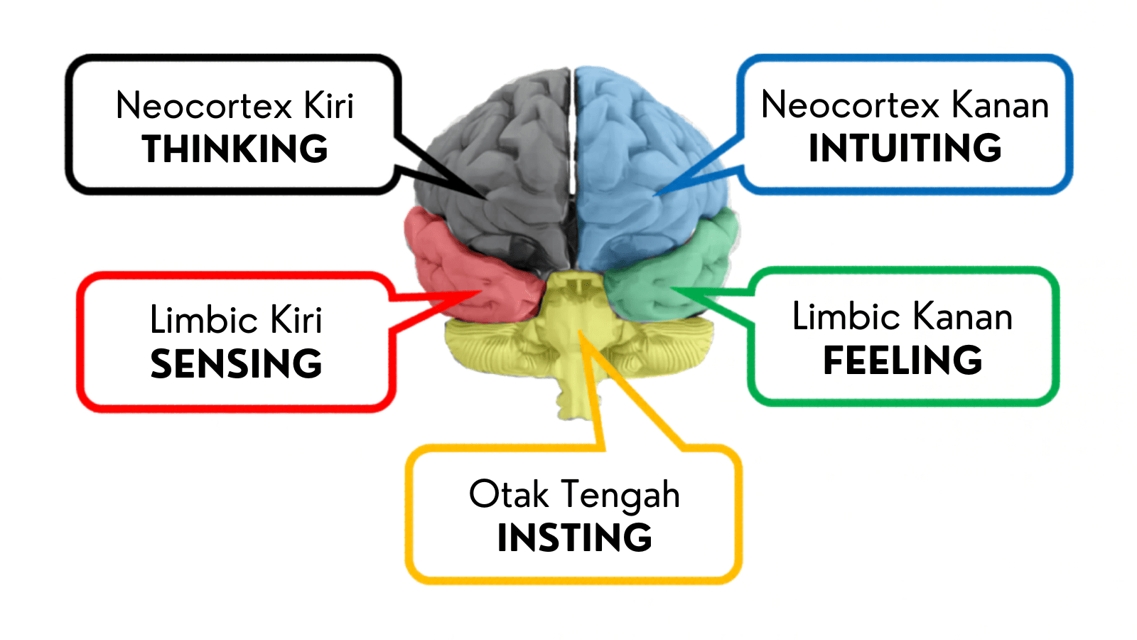 Tes STIFIn Garut
